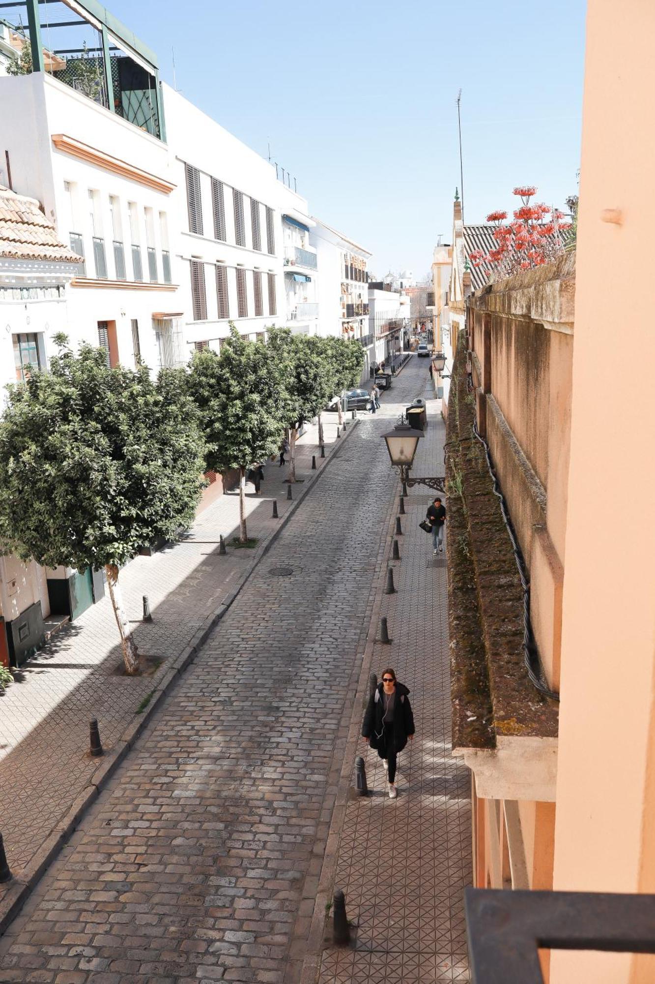 Monkeys Apartments Lumbreras Deluxe Sevilla Eksteriør bilde
